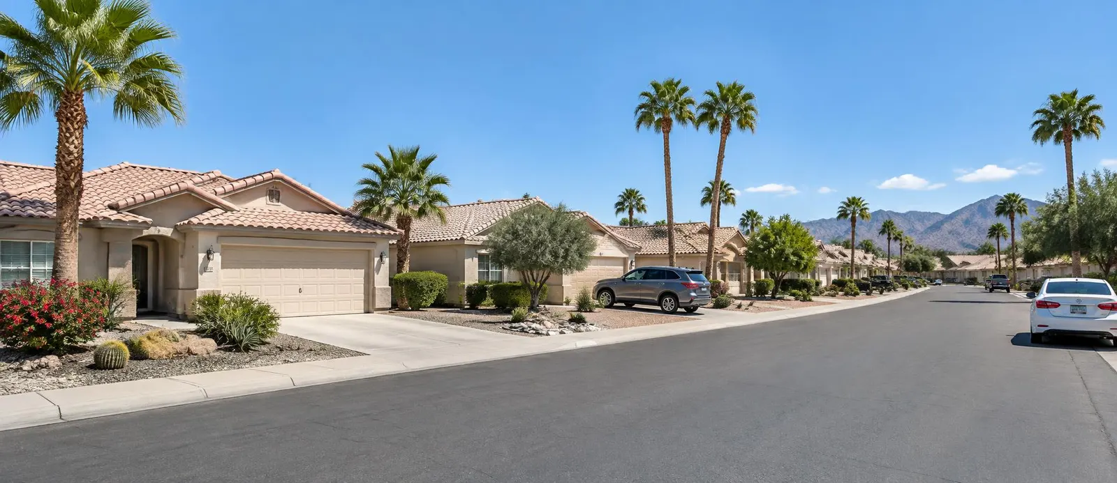 Residential street of single-story stucco homes with palm trees in daylight